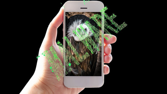 Vultur, otro malware que espía lo que hacemos en nuestro Smartphone